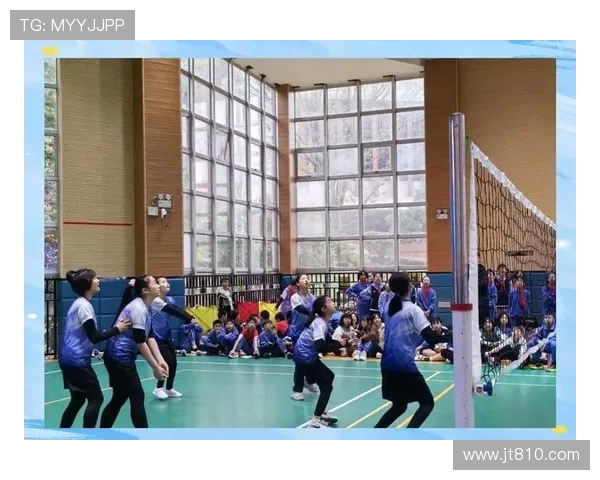 排球新手必看：团队协作技巧与实战经验分享指南